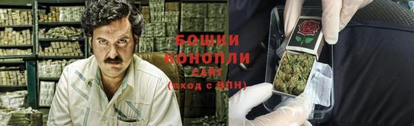 гашик Белоозёрский