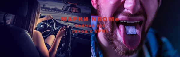 трава Белокуриха