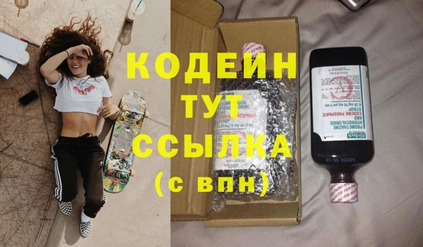 трава Белокуриха