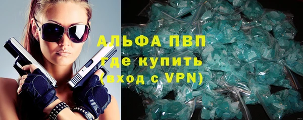 трава Белокуриха